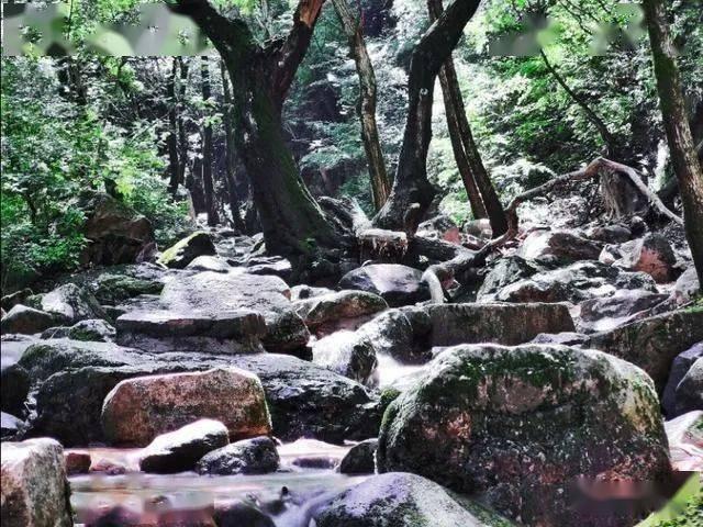 东京迷城